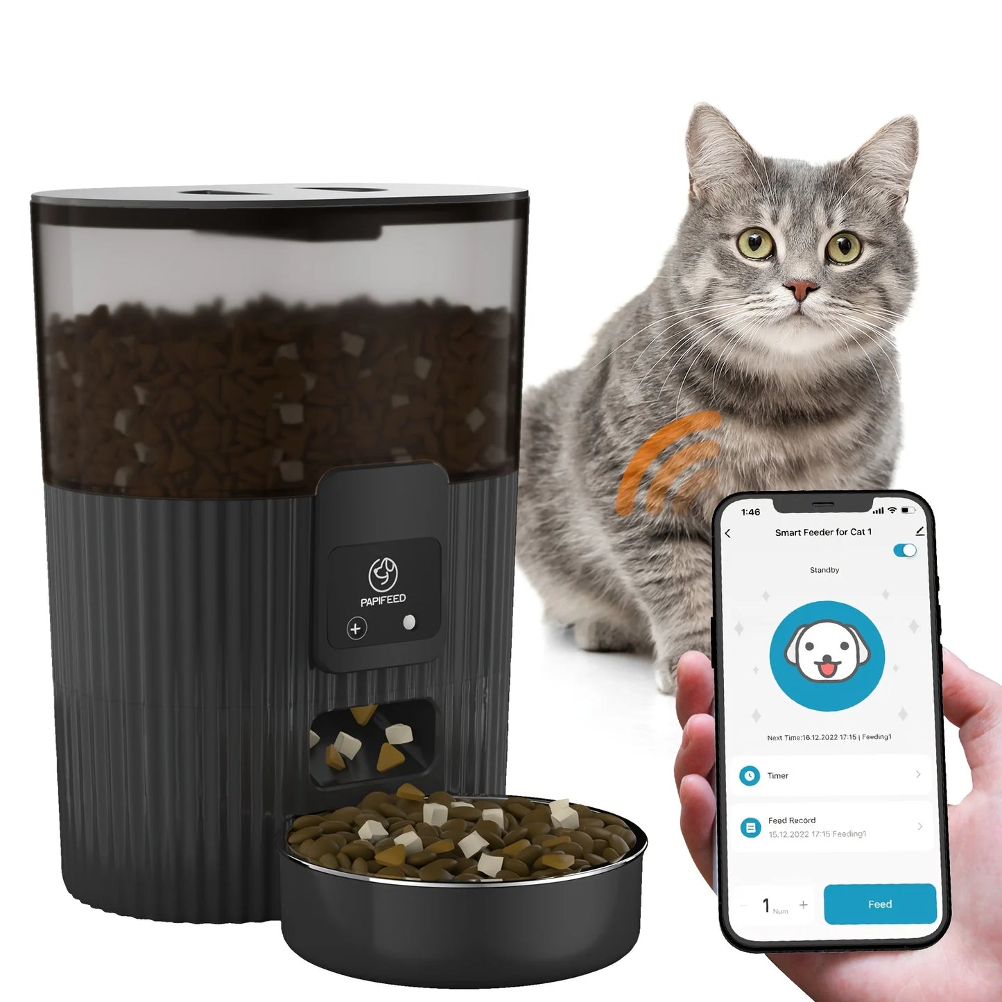 Cat automatic feeder