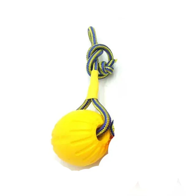 Floating Dog Training Ball with Rope