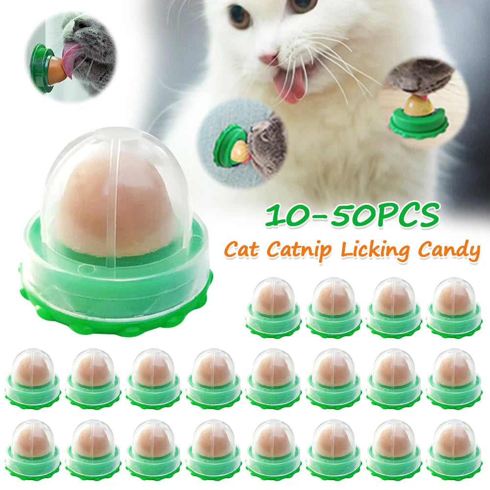 Interactive Ball Cat Mint Toy