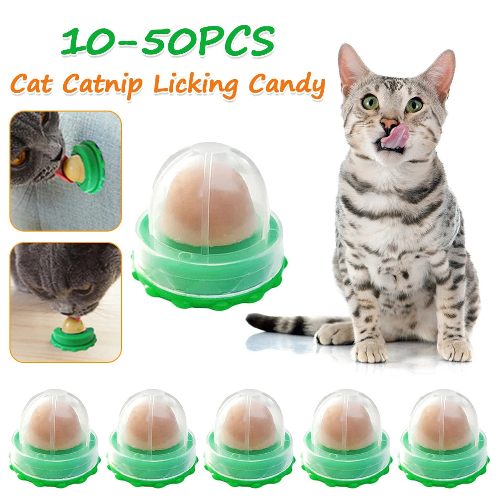 Interactive Ball Cat Mint Toy