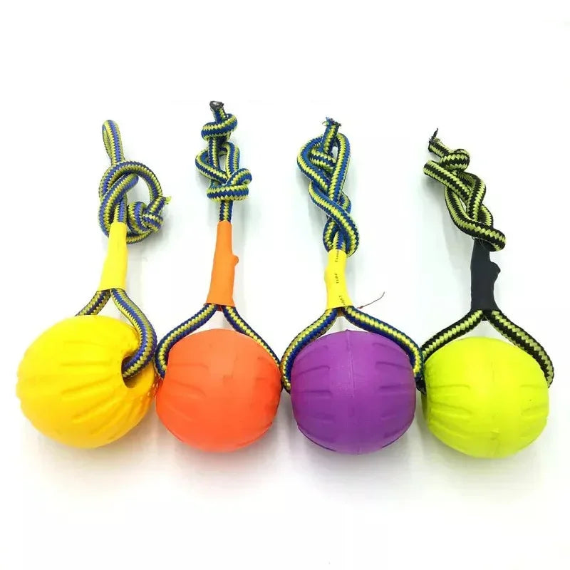 Floating Dog Training Ball with Rope