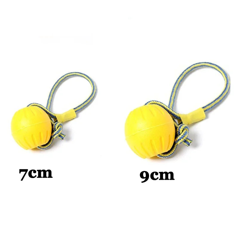 Floating Dog Training Ball with Rope