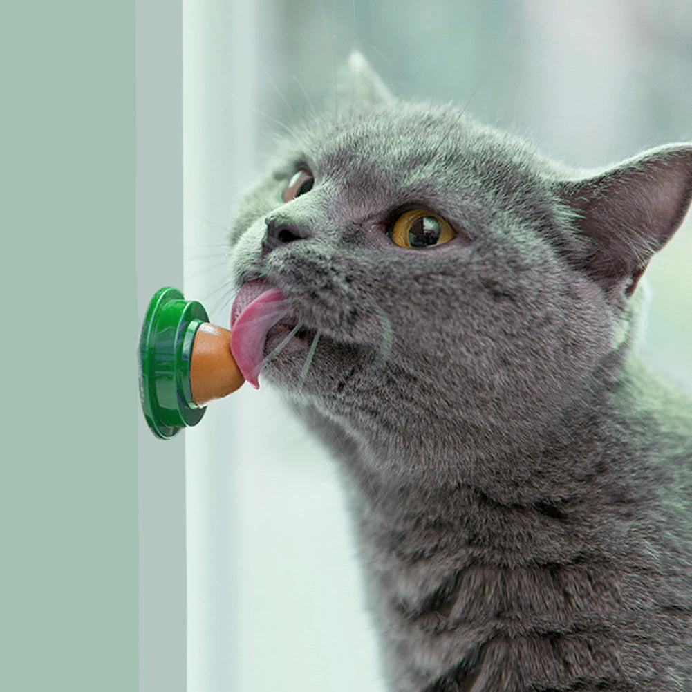 Interactive Ball Cat Mint Toy