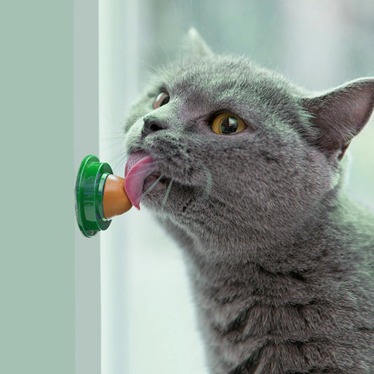 Interactive Ball Cat Mint Toy