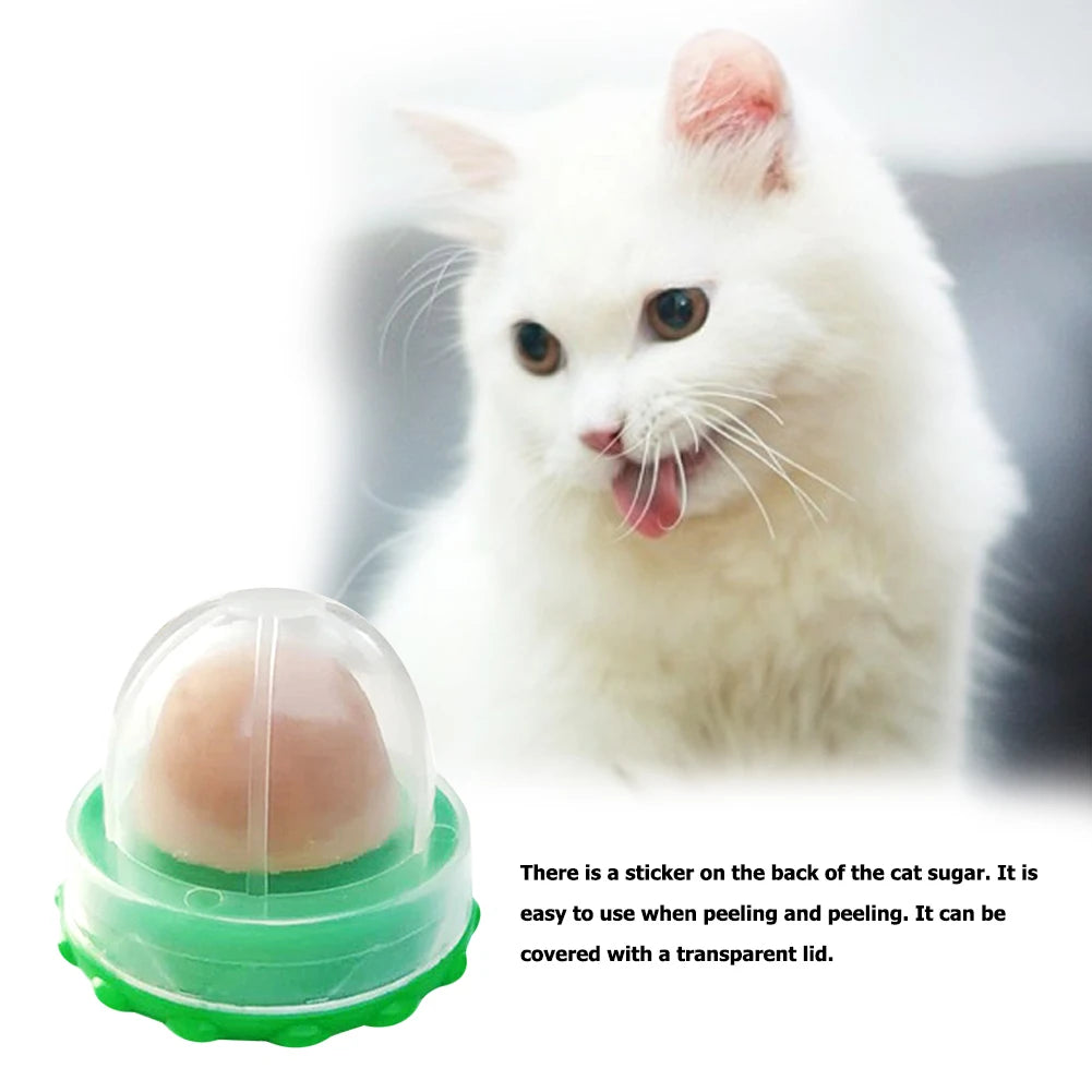 Interactive Ball Cat Mint Toy