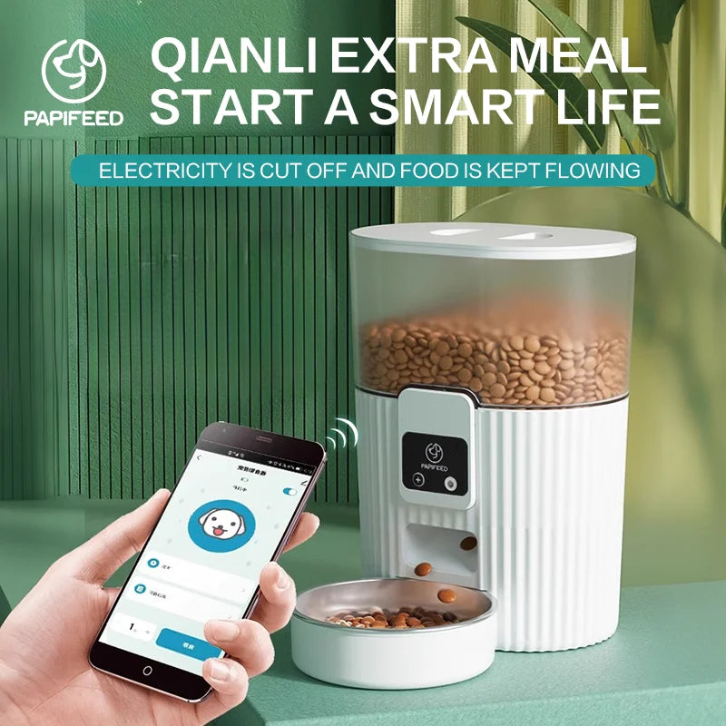 Cat automatic feeder