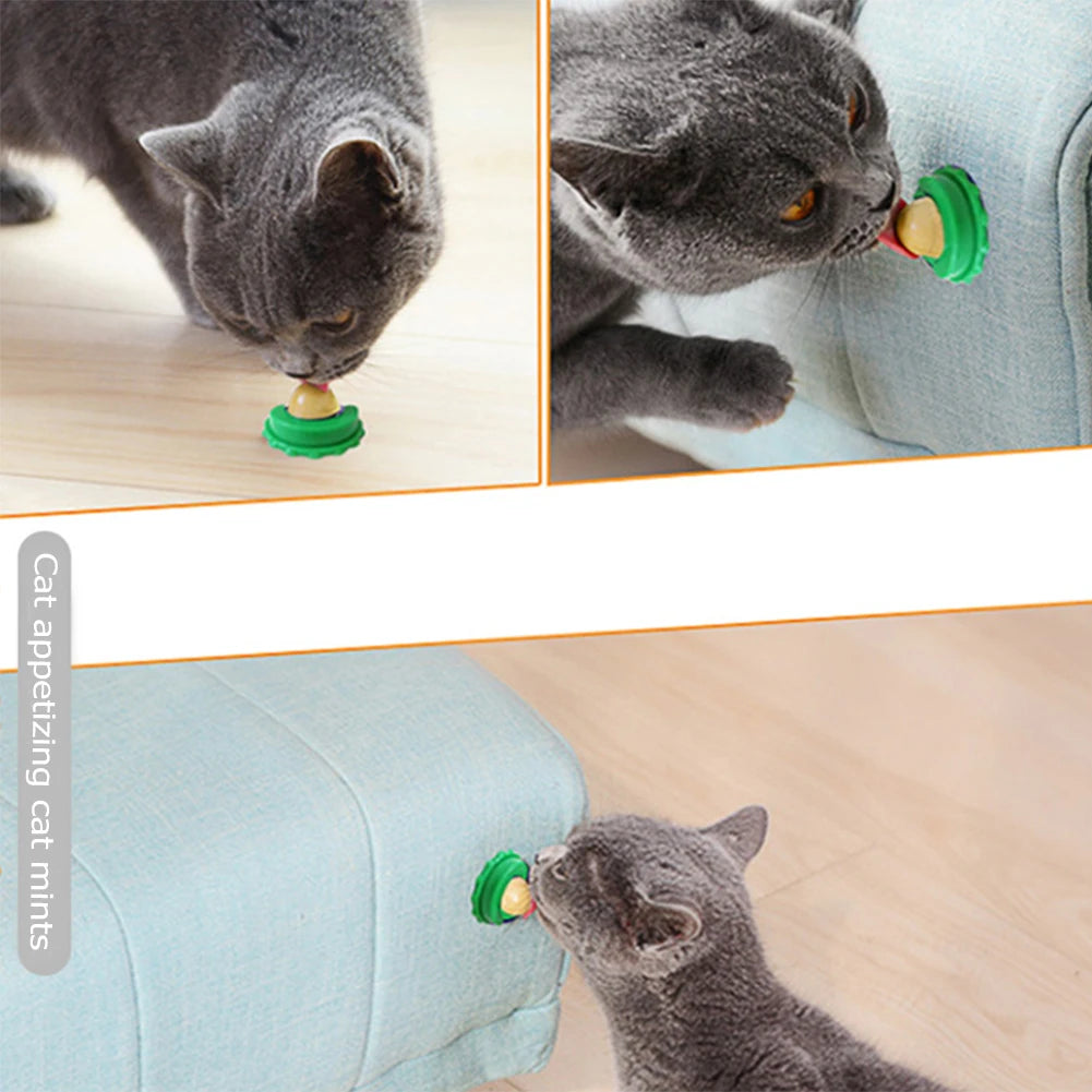 Interactive Ball Cat Mint Toy
