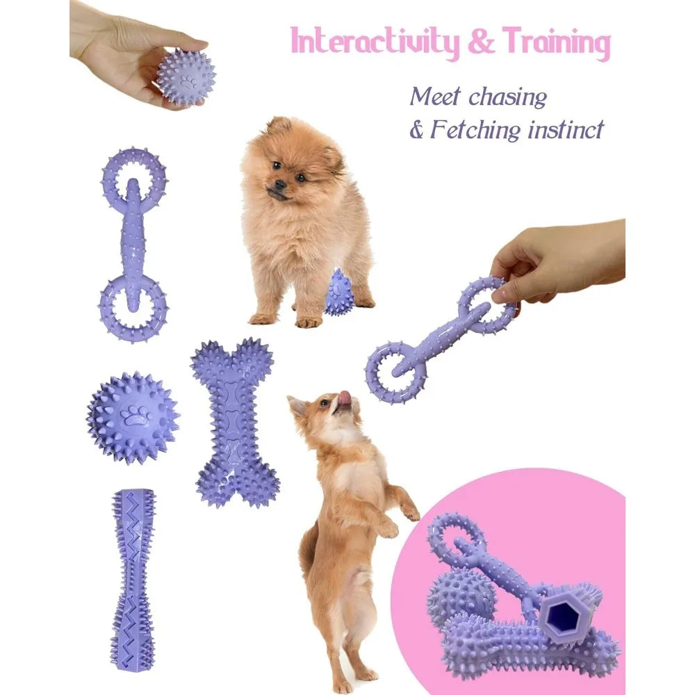 Dog Chew Toy